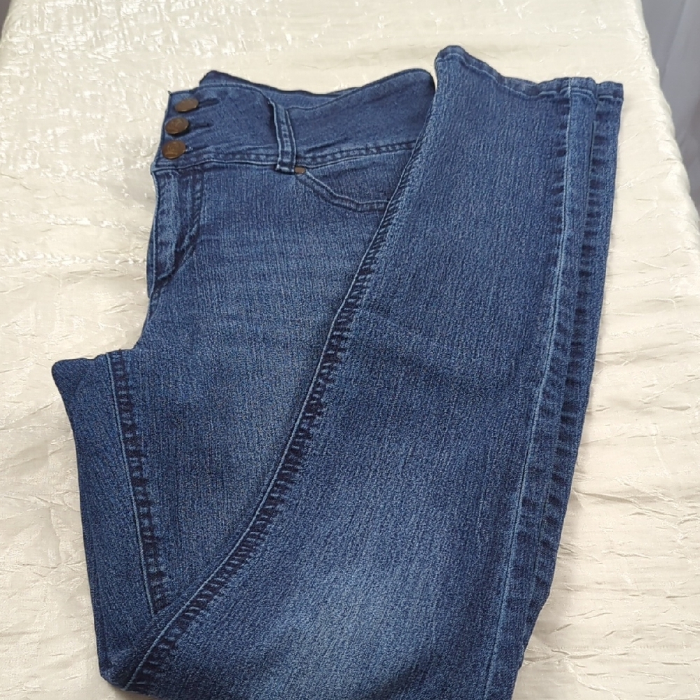 d. jeans Women's High Rise Indigo Jeans